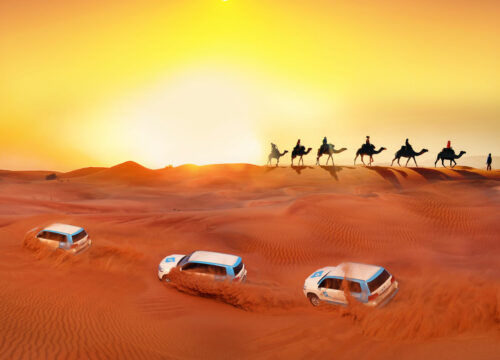 Dubai Desert Safari