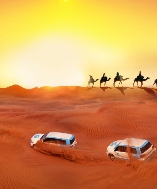 Dubai Desert Safari