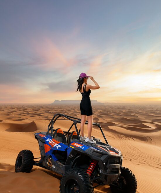 Holidays & Tours