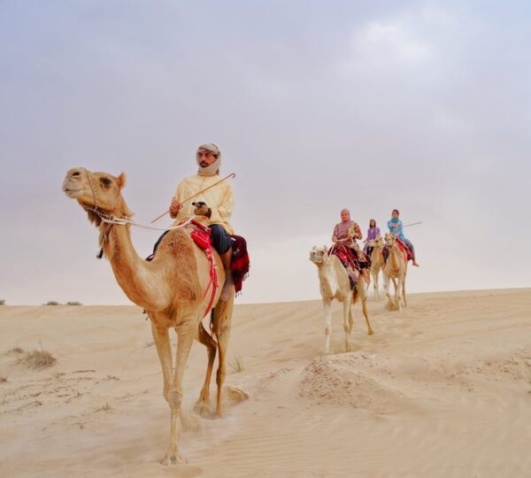Camel ride
