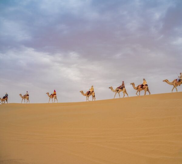Camel ride 2