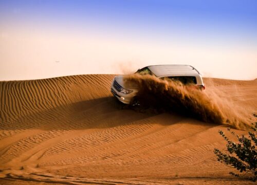 Evening Desert Safari
